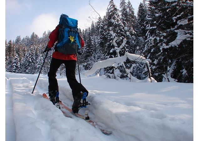 Homme qui pratique le ski de randonnée - A.Rey