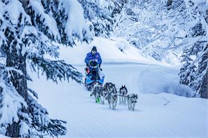 Grande Odyssée - Simon Garnier - Mairie de Megève