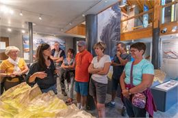 Visite guidée Echo des Glaciers - Nomad Photographie