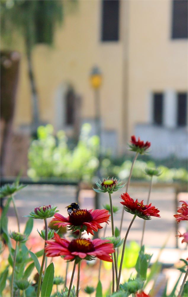 Atelier pratique : fabrication d'un refuge à insectes_Annecy - Ville d'Annecy