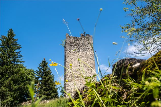 Les Tours de Montmayeur - OT Coeur de Savoie