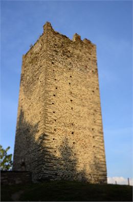 La tour au soleil couchant - non