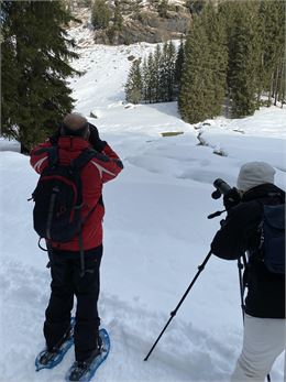 Les yeux sur les chamois : À l’écoute de la nature_Les Gets - Vecteur Montagne