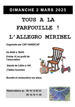 Farfouille - Cap Handicap