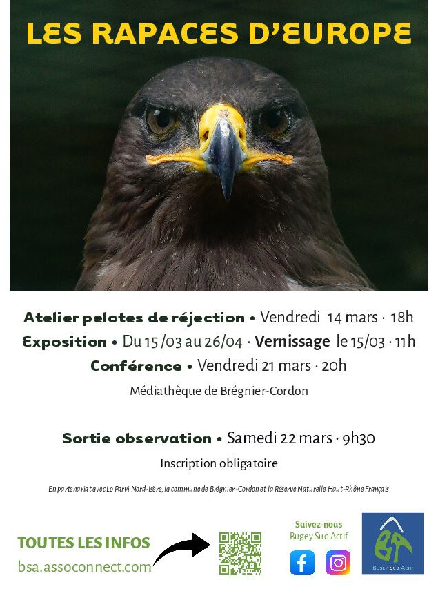 Atelier, conférence et sortie d'observation sur les Rapaces d'Europe_Brégnier-Cordon - Bugey Sud Act