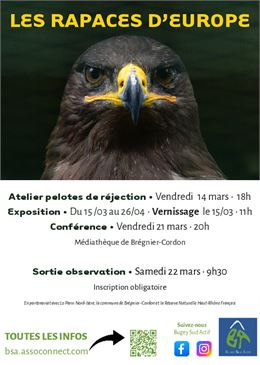 Atelier, conférence et sortie d'observation sur les Rapaces d'Europe_Brégnier-Cordon - Bugey Sud Act