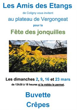 Affiche Fête des jonquilles_Plateau de Vergongeat - Amis des Étangs