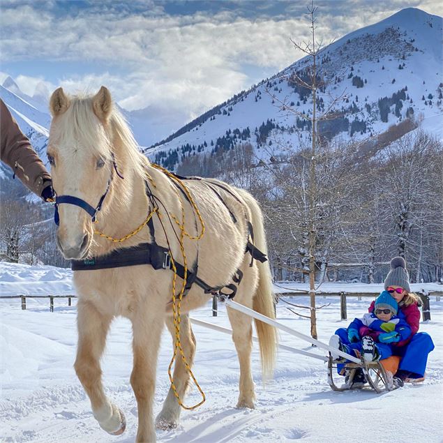 Poney Luge - Cavaliers des Arves