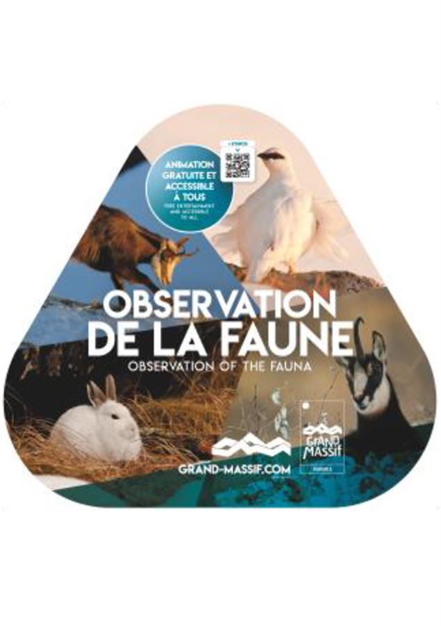 Visuel observation de la faune - Grand Massif