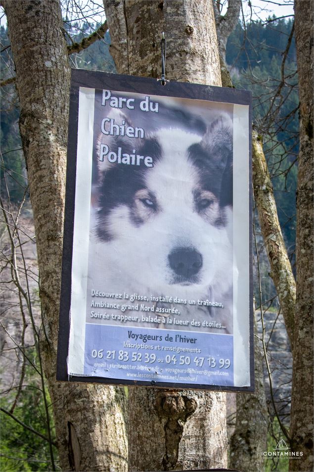 Visite du parc du chien polaire - Les Contamines Tourisme