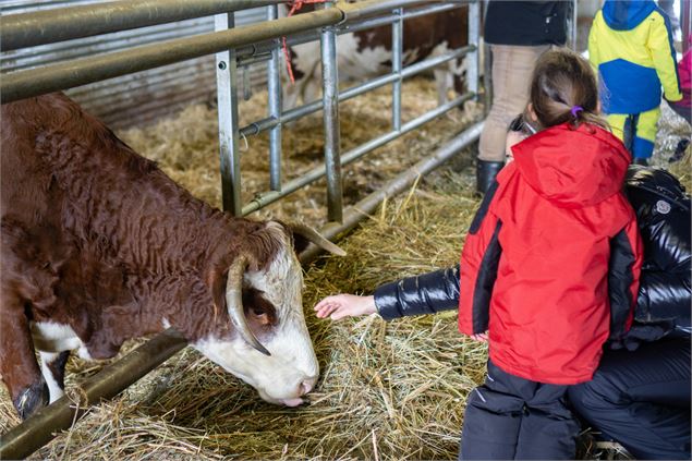 Visite de la ferme de l'Aubrac - Corbier Tourisme