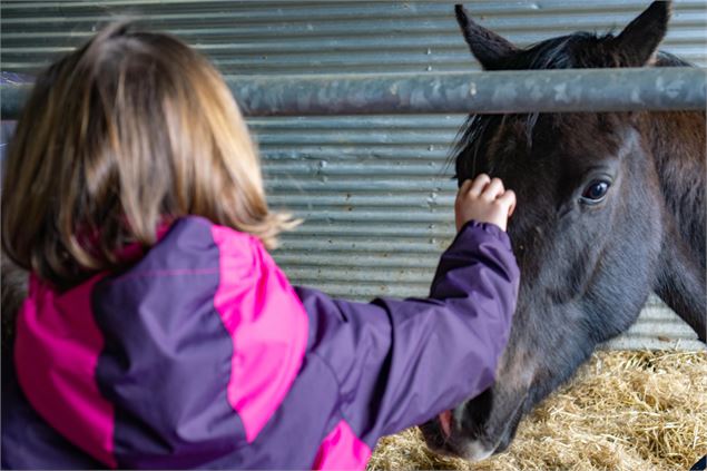 Visite de la ferme de l'Aubrac - Corbier Tourisme