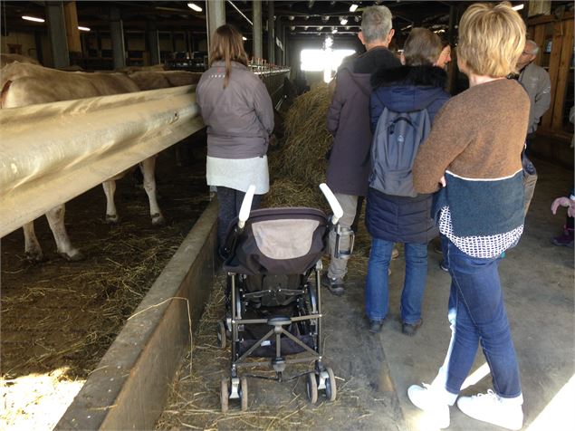 Val d'Isère : visite à la ferme - DD/FACIM