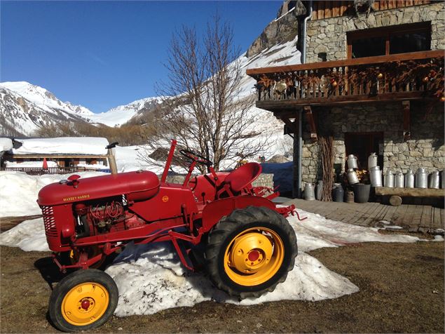 Val d'Isère : visite à la ferme - DD/FACIM