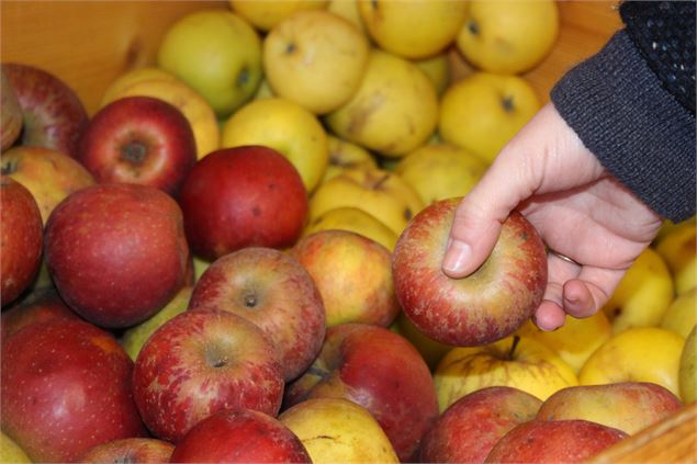 Pommes de l'Abbaye - C. CURT/Dombes Tourisme