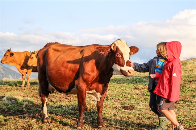 Enfants à la rencontre des vaches - Office de Tourisme de Saint Jean d'Arves