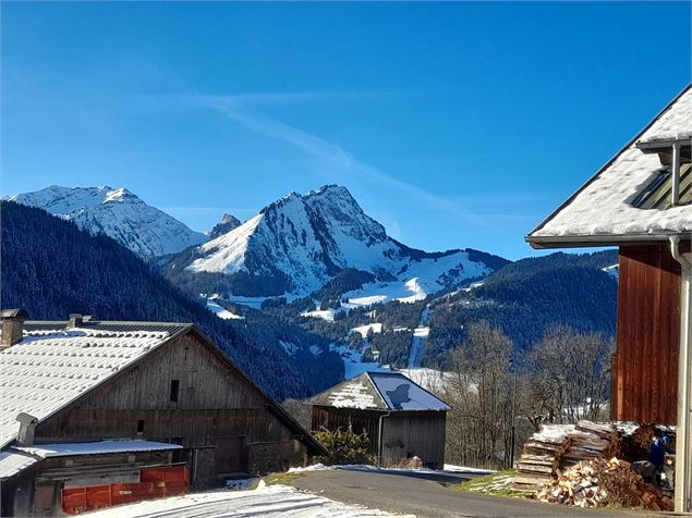 Visite guidée : Abondance, une vallée, une ferme, un fromage - Alp Evianature