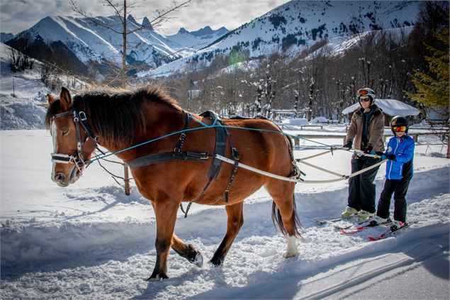 Ski Joering - Cavaliers des Arves