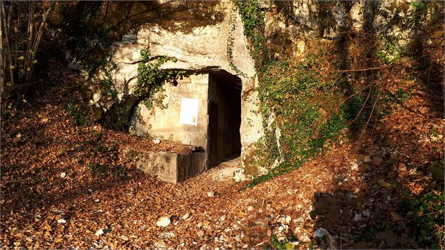 entrée de l'aqueduc de Briord en automne - Sabrina Megani