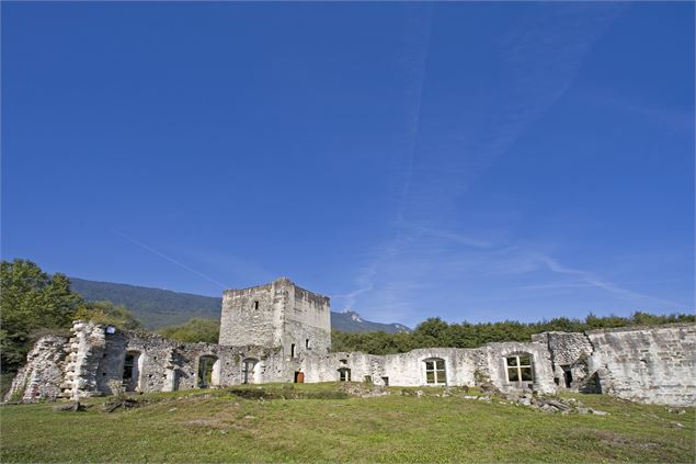 Visite guidée : le prieuré et le château de Thomas II