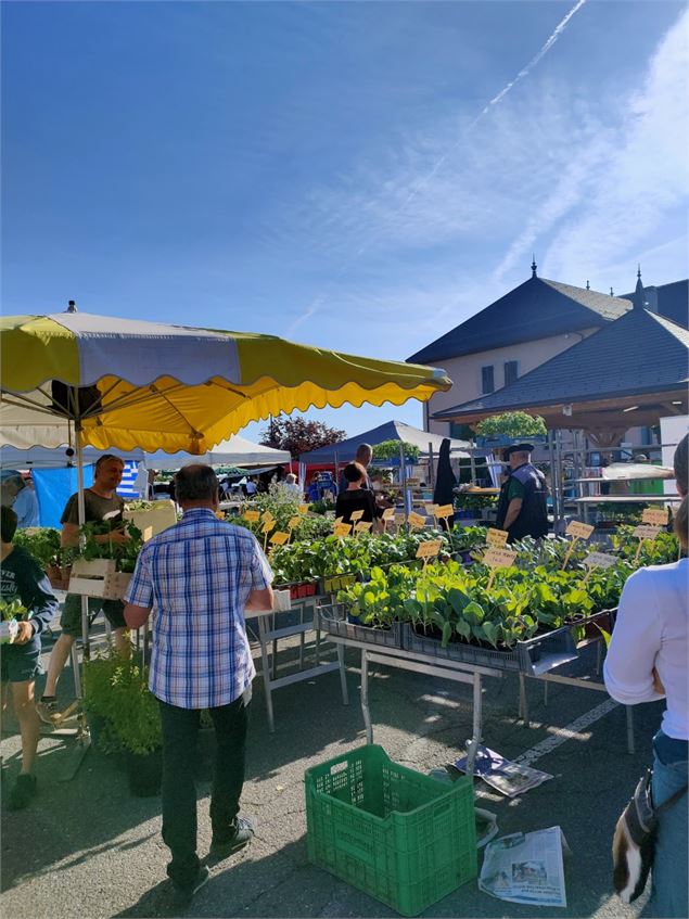 Stand fleuri - Sophie Zimmermann