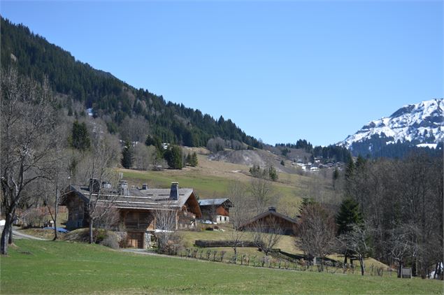 hameau de la tonnaz - Mairie de Praz sur Arly