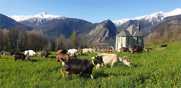 Troupeaux et paysage - ©Aurélie Maire