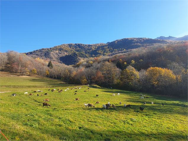 Paysage - ©Aurélie Maire