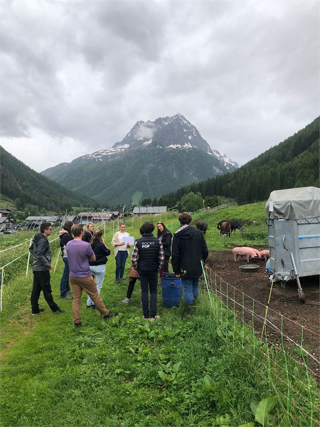 Crée ton propre beurre à la ferme