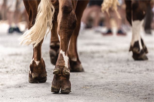 Foire agricole de la Saint-Maurice Le Grand-Bornand - C.Hudry - Le Grand-Bornand