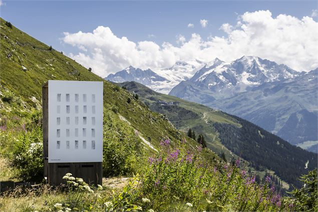 RANA BEGUM : Verbier 3-D Foundation Sculpture Park