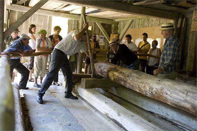 Coupe de bois - C.Beaudot