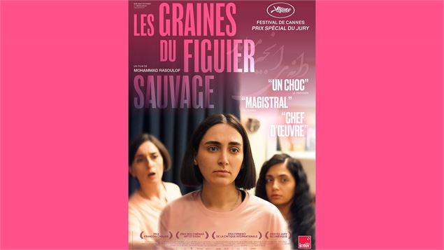 les_graines_du_figuier_sauvage_2 - les_graines_du_figuier_sauvage_1