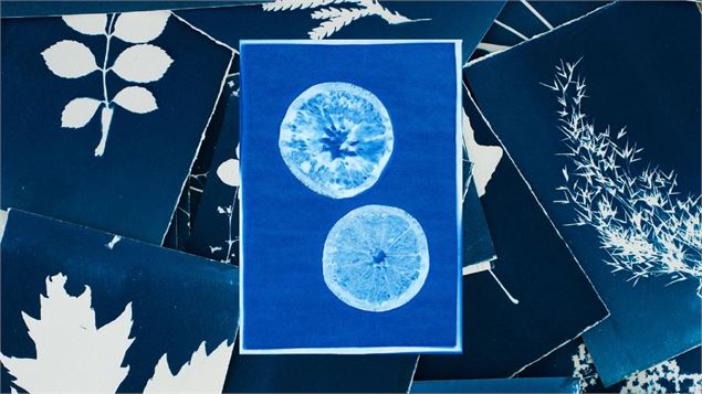 Atelier Cyanotype & Plantes - or