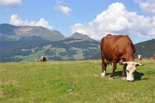 La Ferme de Seraussaix - La Ferme de Seraussaix