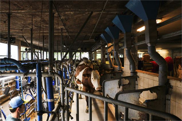 Ferme de Lorette - Glapigny - Thônes - R.Seigeot