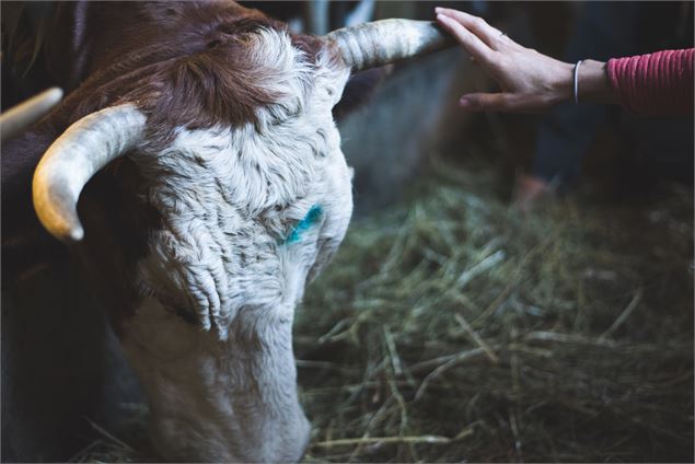 Visite guidée d'une ferme