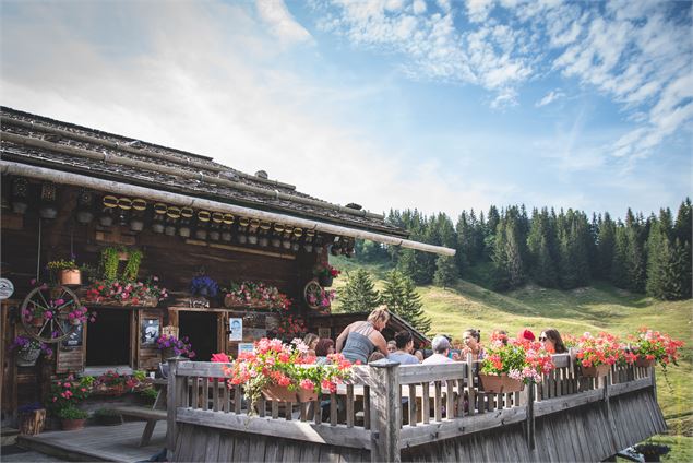 Visite guidée d'une ferme