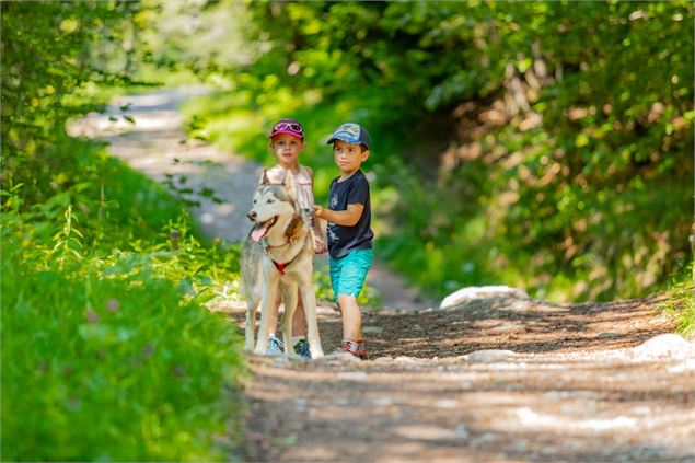 Deux enfants qui promènent un chien sur un chemin - Les Grange d'Heïdi