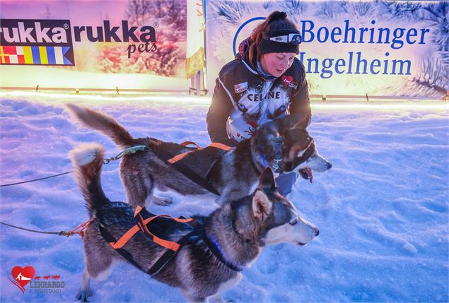 Lekkarod - Course internationale de chiens de traineaux_Saint François Longchamp