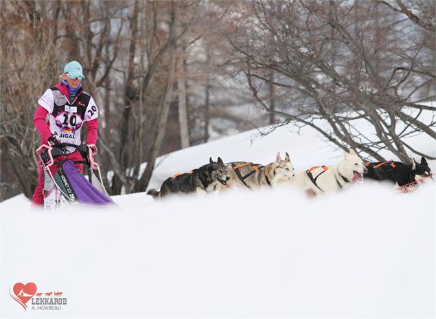 Lekkarod - Course internationale de chiens de traineaux_Saint François Longchamp