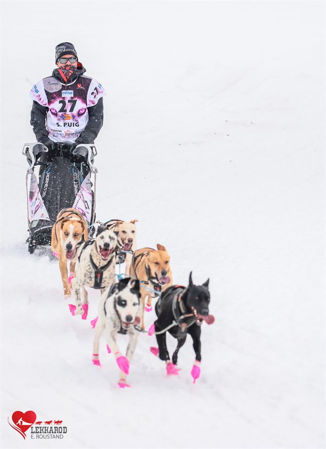 Lekkarod - Course internationale de chiens de traineaux_Saint François Longchamp