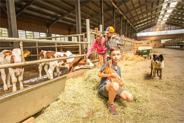 Visite guidée de la ferme 