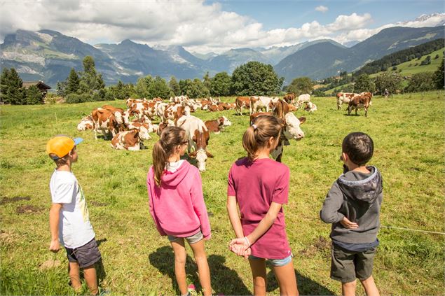 Visite guidée de la ferme 