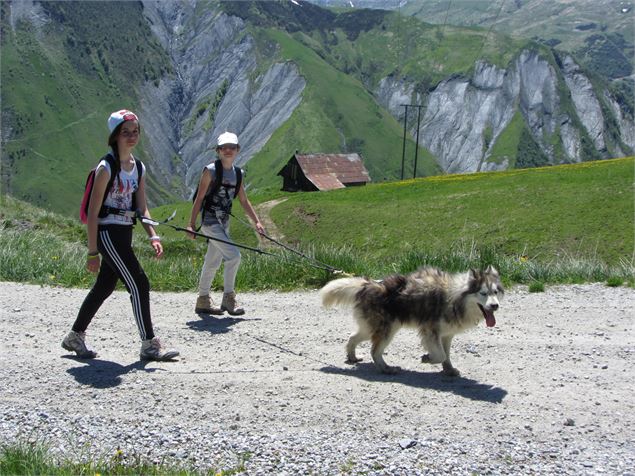 Personnes avec un chiens pratiquant la cani rando - Office de Tourisme de Saint Jean d'Arves Les Syb