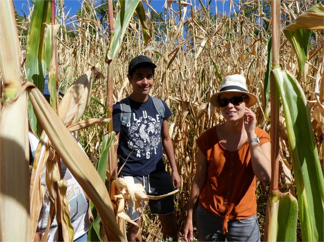 labyrinthe végétal en famille - Vincent Gaullier