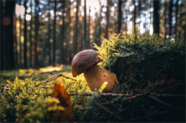 Dîner des sous-Bois - Bresse