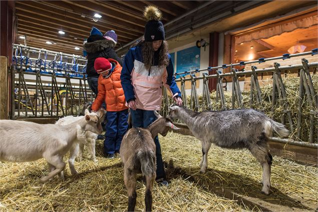 Visite de la Ferme du Mont Thabor - Alban Pernet