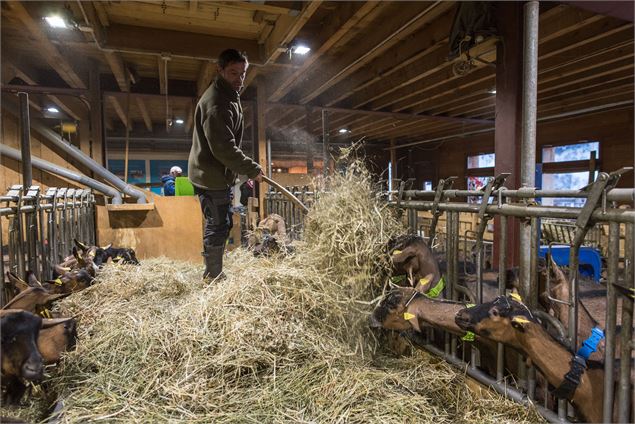 Visite de la Ferme du Mont Thabor - Alban Pernet