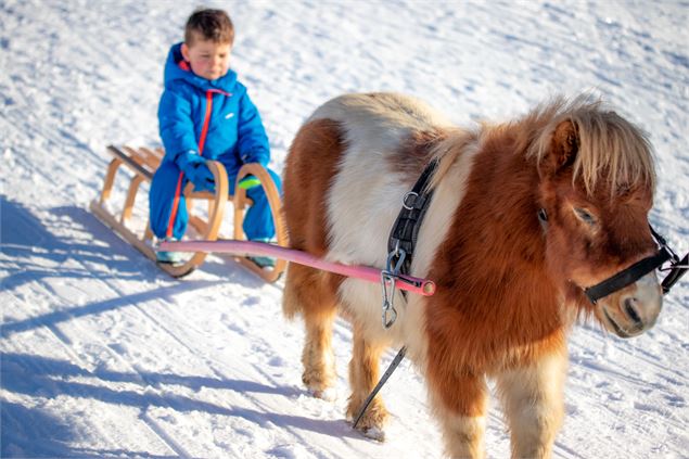 Poney Luge à Notre Dame de Bellecombe - Office de Tourisme du Val d'Arly